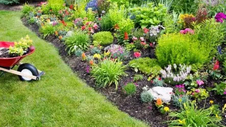 Tala y poda en Altura de árboles en Sevilla y municipios Tala y poda en Altura de árboles en Sevilla y municipios
