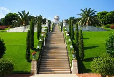 Tala y poda en Altura de árboles en Sevilla y municipios Tala y poda en Altura de árboles en Sevilla y municipios